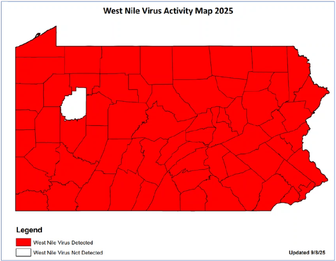 Virus Activity Map